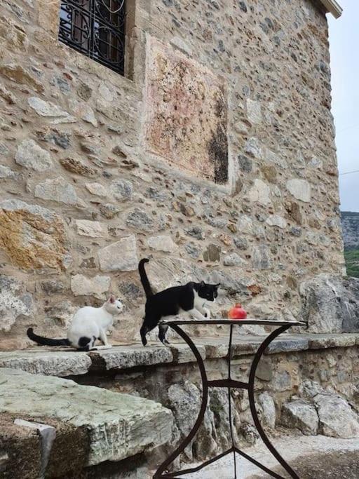 A Small Paradise In Mani With Local Hospitality Orovas Εξωτερικό φωτογραφία